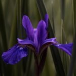 blog 3