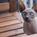 blog 5